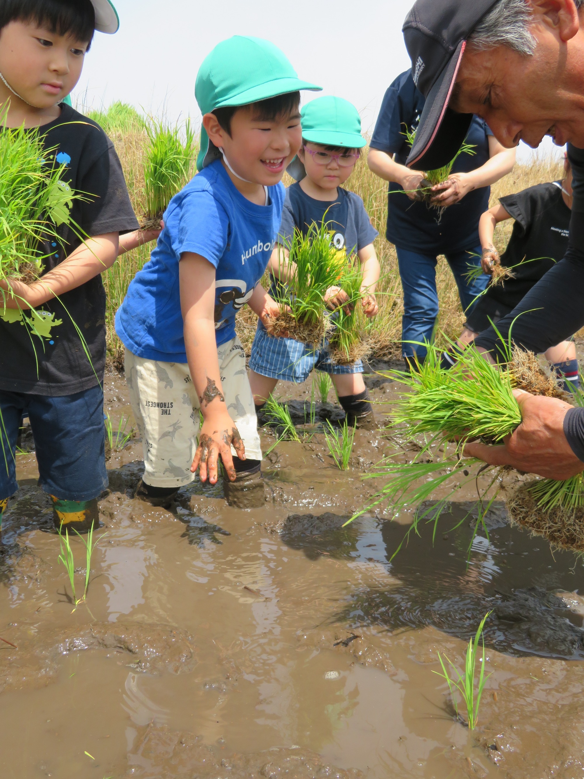 田植え（6月）
