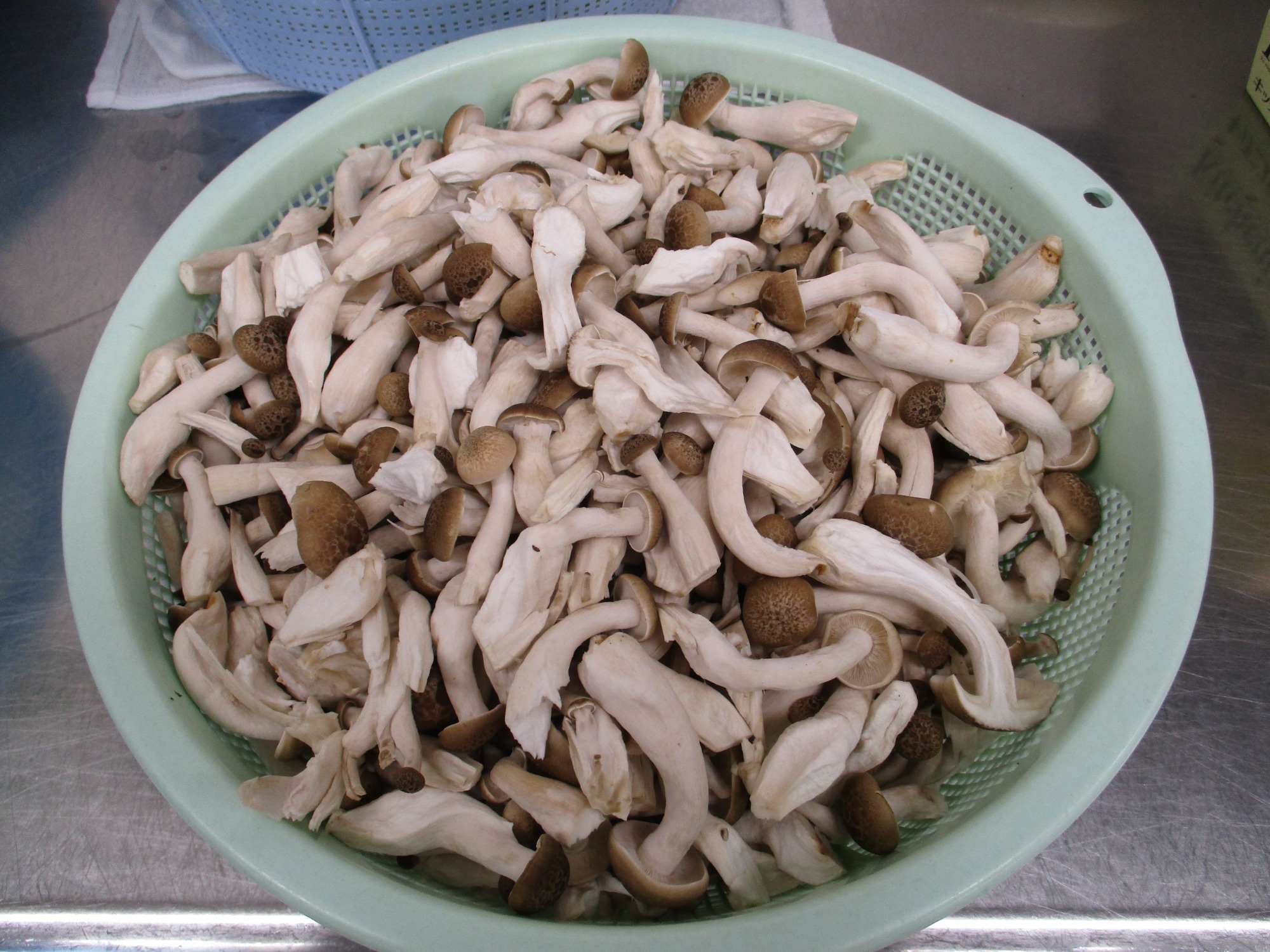 食育について