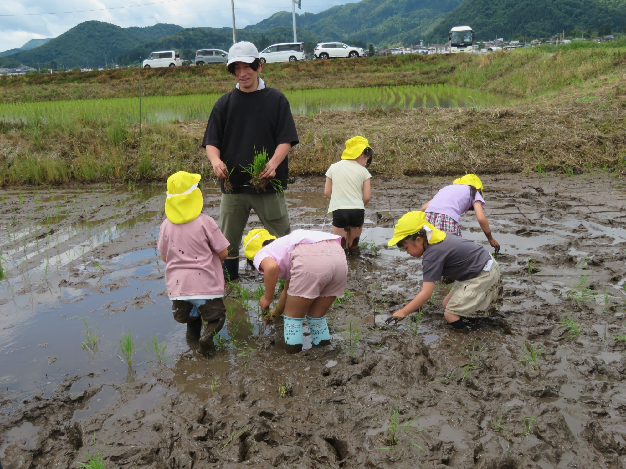 田植え（6月）
